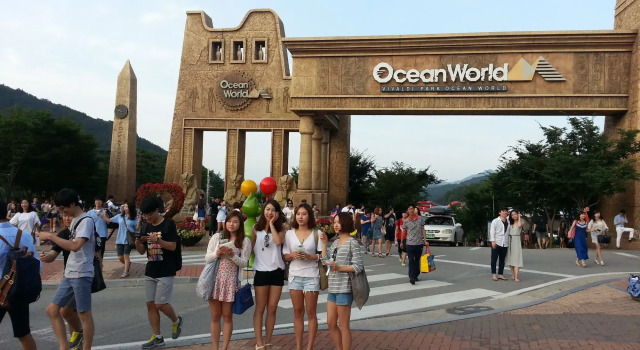 Heidi Korea, Reserva ahora Hostal o pensión Hoteles en Gangwon con piscina, Piscina
