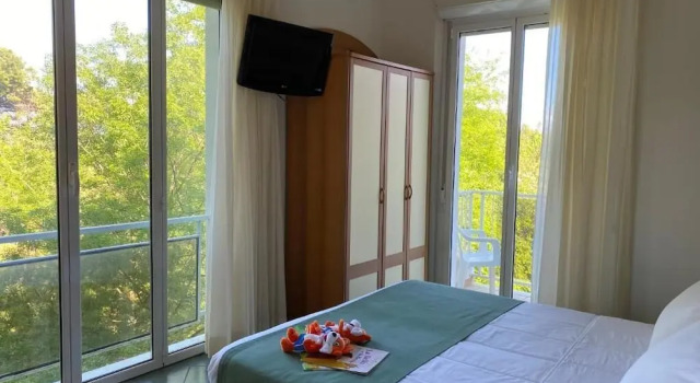 Номер Standard Pinetina Mare Baby Family Hotel
