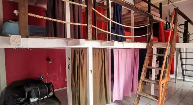 Кровать в общем номере Iguana Hostel Oaxaca
