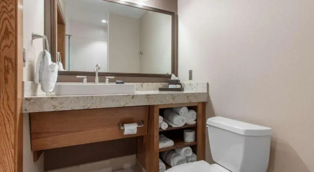 Номер Superior Norfolk Lodge & Suites, an Ascend Collection Hotel