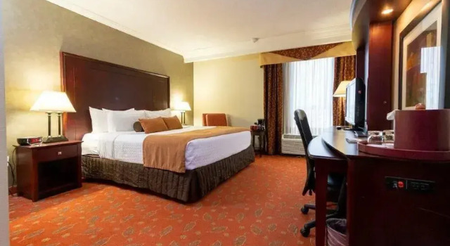 Номер Standard Crowne Plaza Hamilton