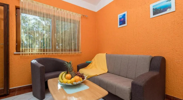 Beautiful Apartment in Baric Draga With 1 Bedrooms and Wifi, Rezerwuj Apartament Baric Draga 