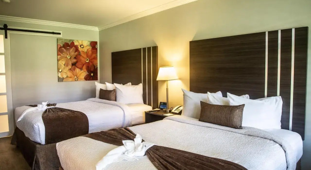Четырёхместный номер Standard Palm Garden Hotel