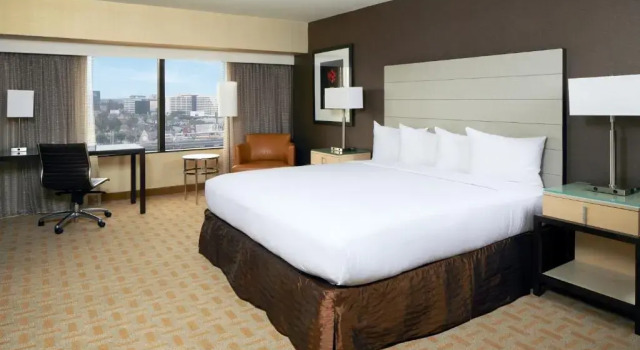 Двухместный номер Mobility Accessible Hearing Accessible Superior Hilton Los Angeles Airport