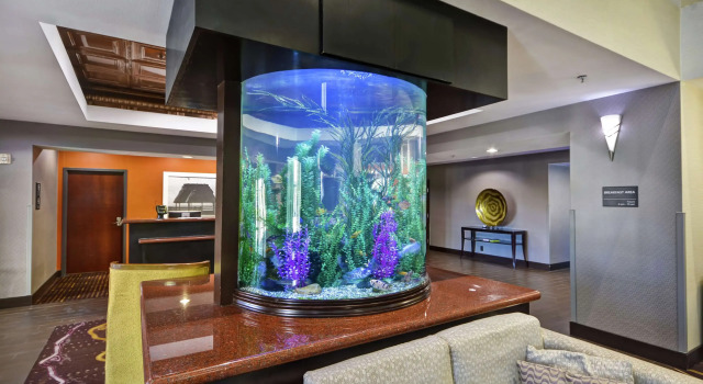Hampton Inn & Suites Corpus Christi I-37 - Navigation Blvd, Prenota Hotel Corpus Christi 