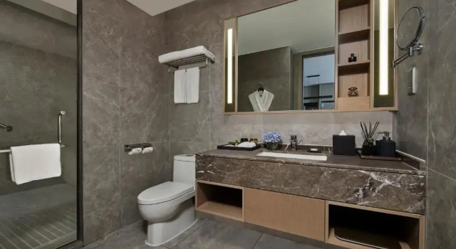 Двухместный номер Standard Somerset Bio-Island Guangzhou