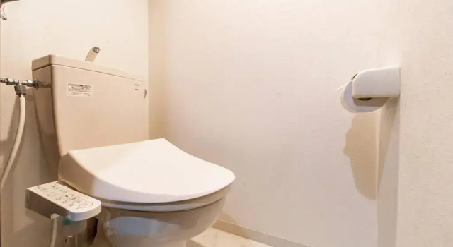 1 Bedroom Apartment Green