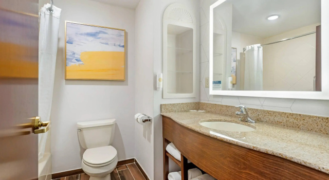 Двухместный люкс Comfort Suites East Brunswick - South River