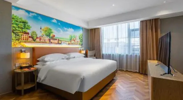 Люкс Deluxe Vienna Hotel (Zhangzhou Xingguo General Park Branch)