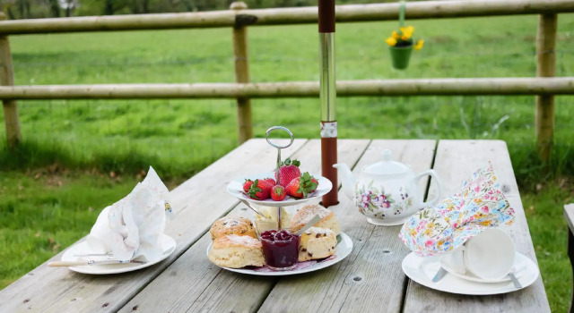 The bark house, Reserva ahora Hotel Tiverton 