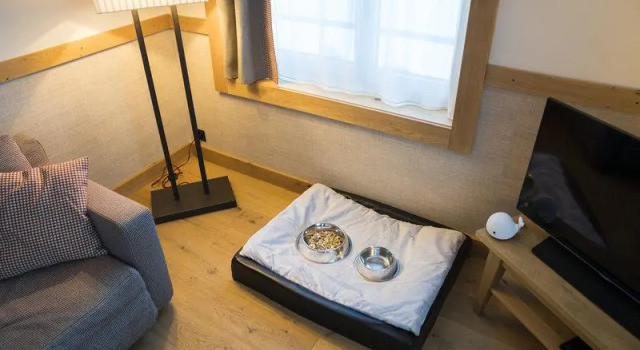 Номер Economy Frutt Mountain Resort