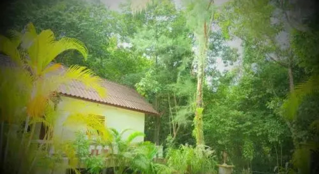 Paradise Waterfall House, Забронировать Гостевой дом Чалоклам Ко-Пханган