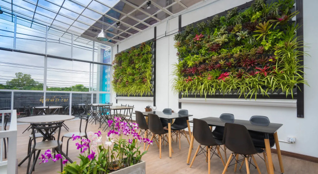 Кровать в общем номере Connect Hotel Chiang Rai