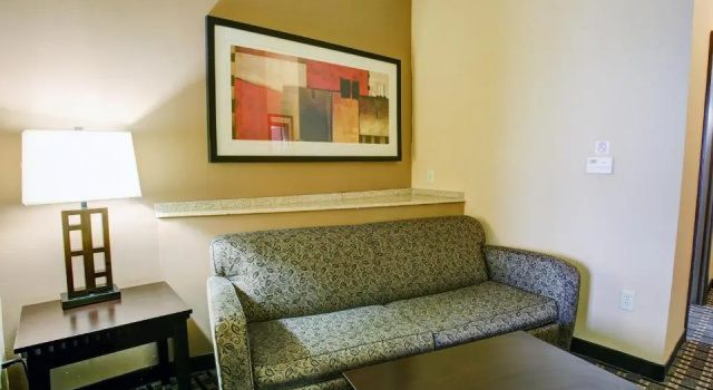 Номер Standard Comfort Suites Buda - Austin South