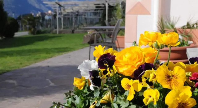 Апартаменты Lindenhof Residence Meran