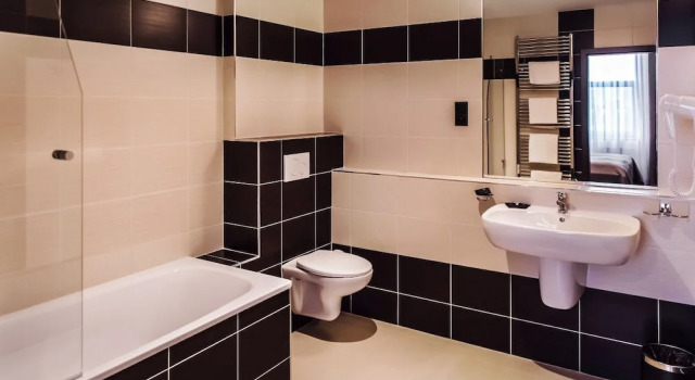 Одноместный люкс Business Interhotel Zlín