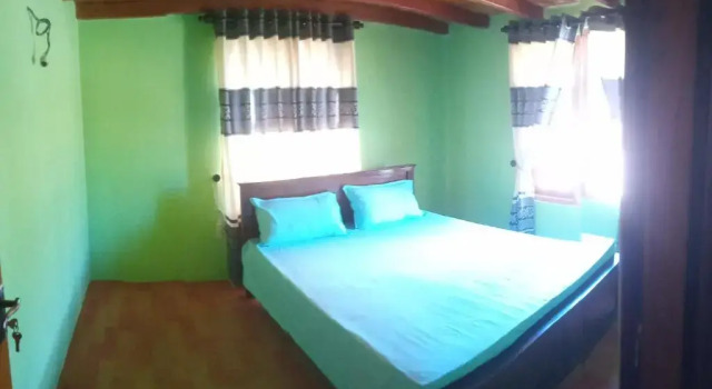 Dream wood villa 02