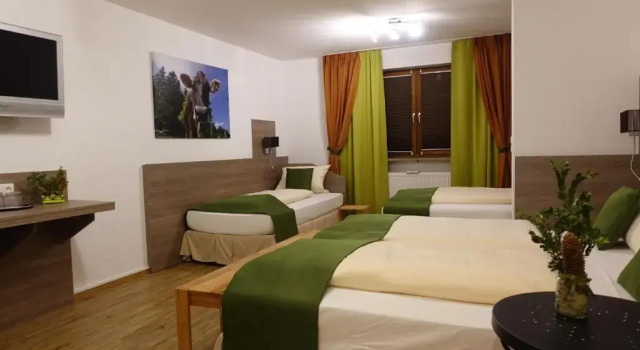 Четырёхместный номер Standard Altstadthotel "Zum Hechten"