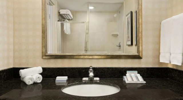 Номер Standard Hilton Garden Inn Toronto/Vaughan