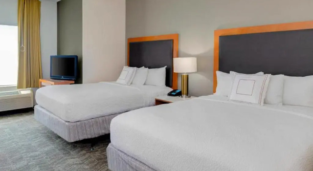 Двухместный люкс Springhill Suites Memphis East / Galleria