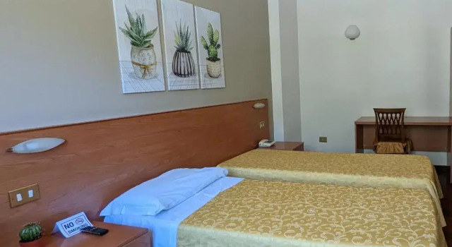 Одноместный номер Standard Hotel Del Sole