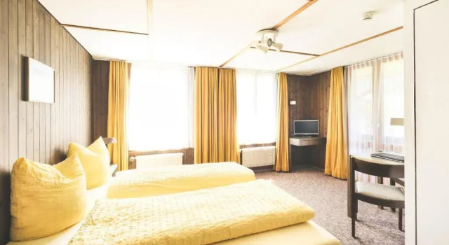 Двухместный номер Economy Hotel Alpina
