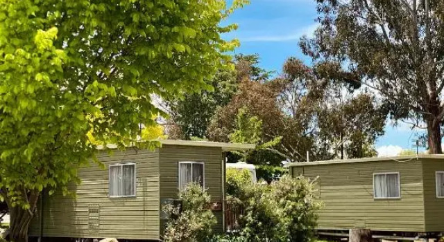 Вилла Tenterfield Lodge Caravan Park