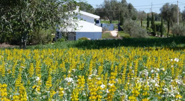 Вилла Vila Valmonte
