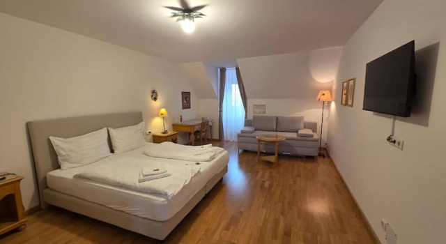 Номер Standard Hotel Restaurant Der Greif