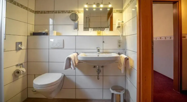 Двухместный номер Standard с видом на сад Hotel Bisenius