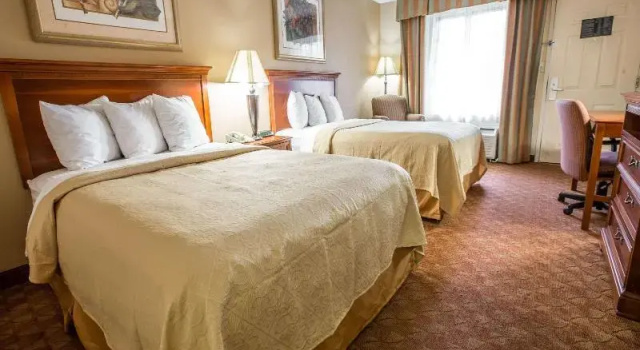 Четырёхместный номер Standard Quality Inn & Suites Hanes Mall