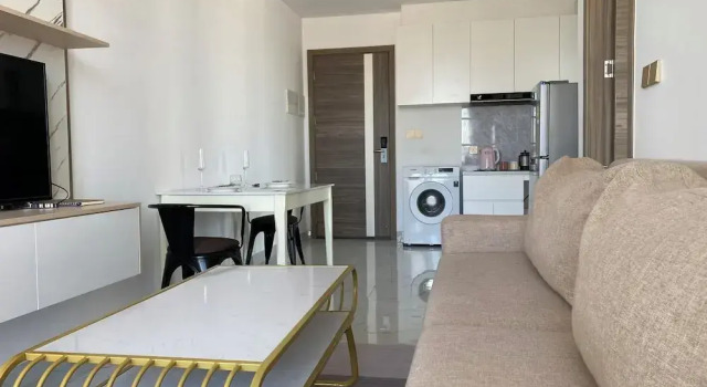 The Vincent Condo