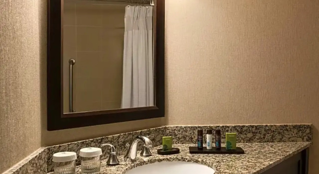 Четырёхместный номер Standard c 1 комнатой Embassy Suites Birmingham