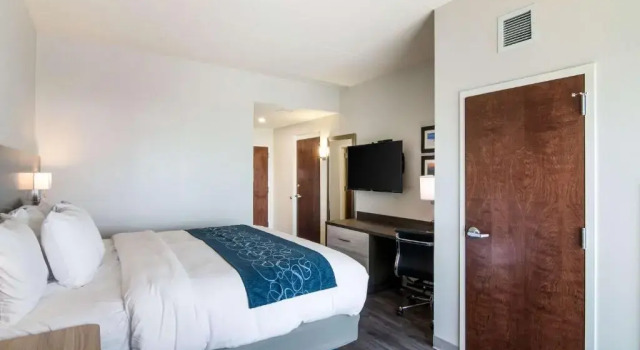 Номер Standard Comfort Inn & Suites Gulf Shores East Beach near Gulf State Park