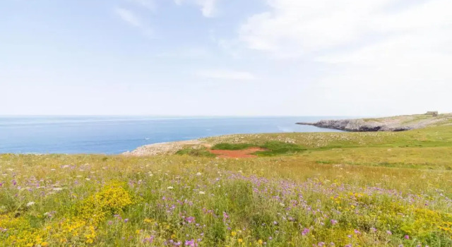 Casa vacanze Frida in Salento, Book Hotel Otranto Salento