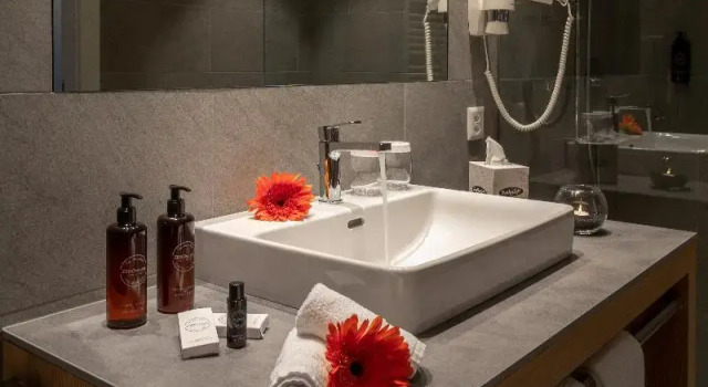 Двухместный номер Standard Hotel Lago Maggiore - Welcome