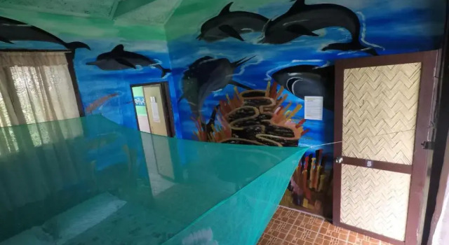 Двухместный номер Standard Coconut Garden Island Resort