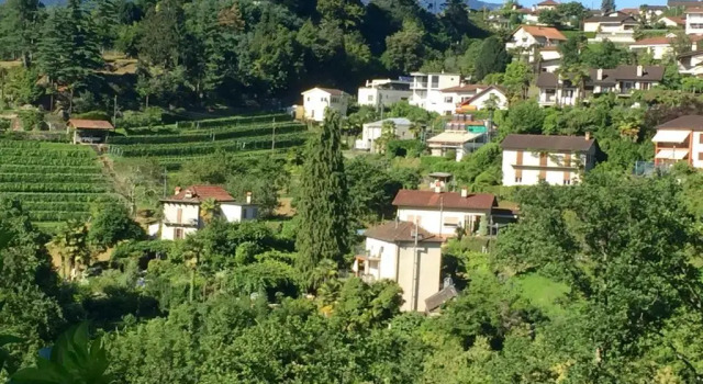 Апартаменты CS Casa Serena