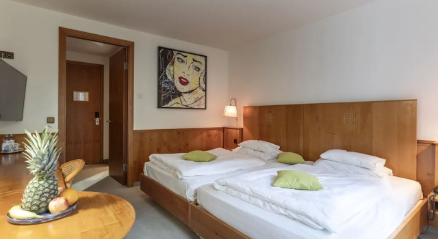 Двухместный номер Comfort Hotel Restaurant Südrast Dreiländereck