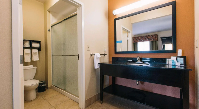 Двухместный люкс Hampton Inn & Suites Effingham