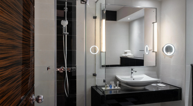 Полулюкс Radisson Blu Hotel Lusaka