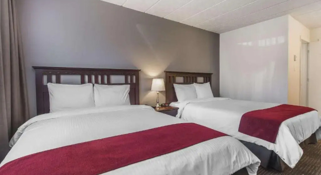 Четырёхместный номер Economy Цокольный этаж Hôtel Le Principal