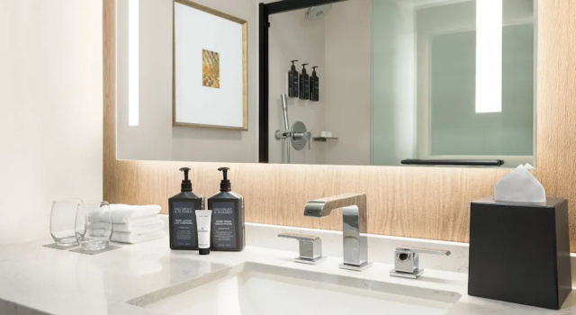 Люкс c 1 комнатой Sheraton Suites Chicago OHare