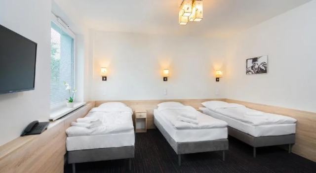 Трёхместный номер Standard Automobil Hotel