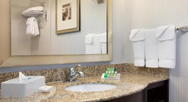 Номер Standard Hilton Garden Inn Edmonton International Airport