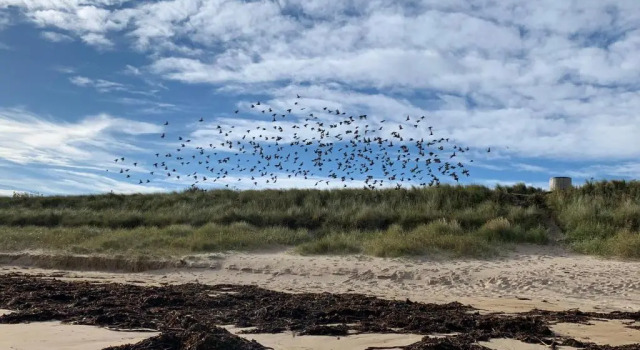 Апартаменты The Craster Arms Hotel in Beadnell