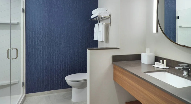 Люкс Fairfield Inn & Suites by Marriott Athens-University Area