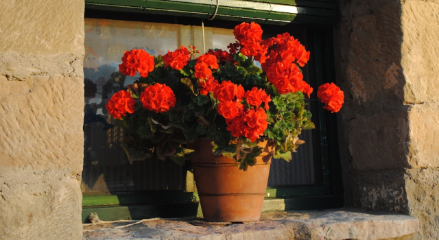 Guara Rural, Book Hotel Hotels in Aragon with Parking, Parking