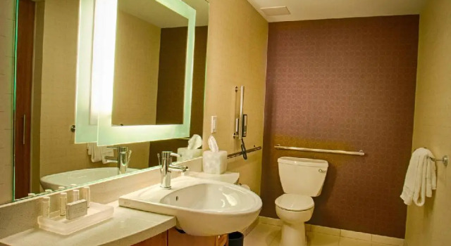 Двухместный люкс SpringHill Suites by Marriott Canton