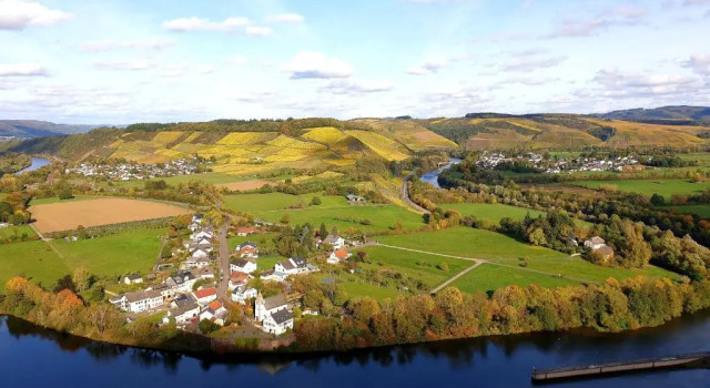 Коттедж Zur alten Rebe Ferienhaus und Weingut